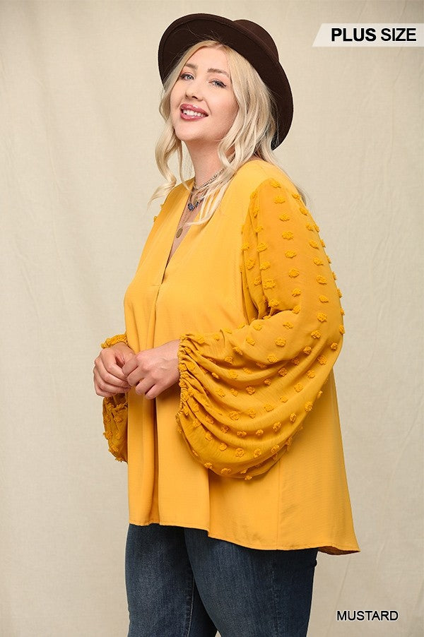 Woven And Textured Chiffon Top With Voluminous Sheer Sleeves Smile Sparker